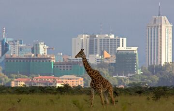 Tanzanya & Kenya  & Madagaskar ve Mauritius  Turu 